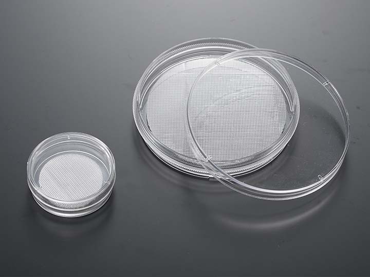 內(nèi)頁(yè)720×540 拷貝.jpg