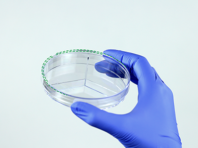 皿蓋邊緣突起設(shè)計(jì)，有利于培養(yǎng)皿穩(wěn)定疊放